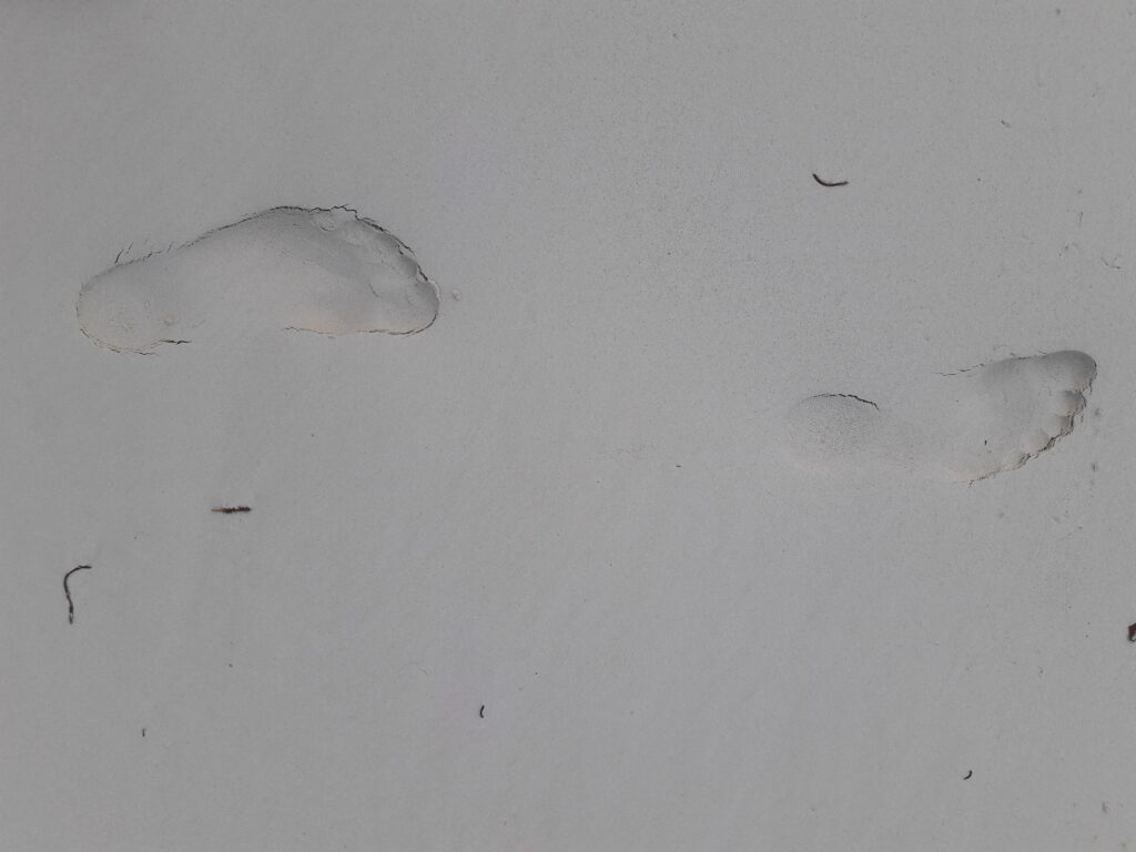 Der erste Schritt…